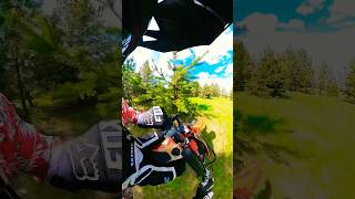 Хотел бы я такие себе сны 😎#enduro #motovlog #эндуро #dirtbike #funny #мото #питбайк