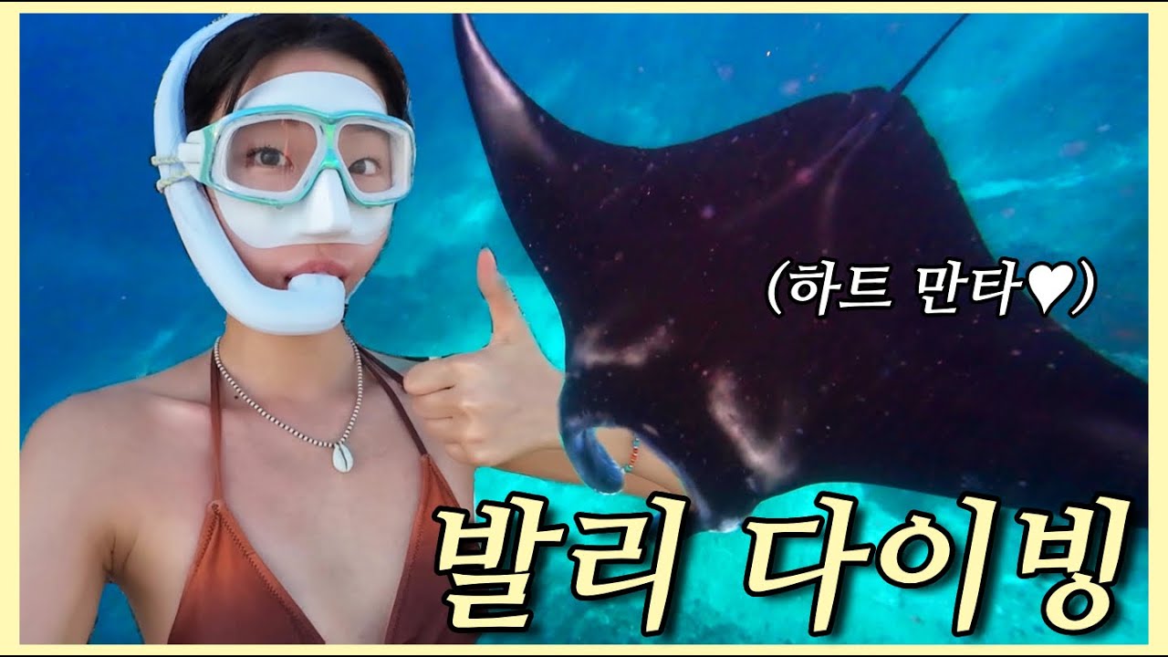 [발리 EP. 3] 만타가 사는 곳, 발리 누사페니다에서 프리다이빙🤿