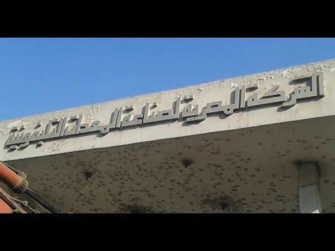 الكلاب الضالة تحل محل المعدات والعمال فى مقر الشركة المصرية لصناعة المعدات التليفونية بالمعادى