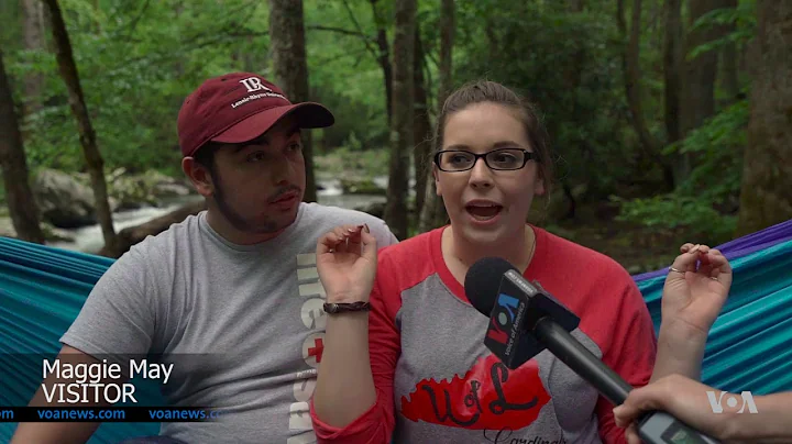 Synchronized Fireflies Light Up Mountain Skies