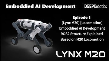 [Lynx M20] [Locomotion] Emboddied AI Development ROS2 Structure Explained Based on M20 Locomotion