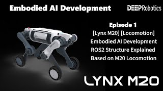 [Lynx M20] [Locomotion] Embodied AI Development ROS2 Structure Explained Based on M20 Locomotion