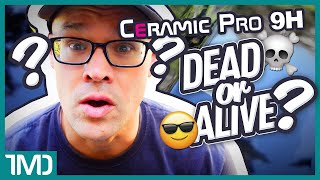 Is Your Ceramic Coating Dead or Alive? | 5 Year Old Ceramic Pro 9h Test