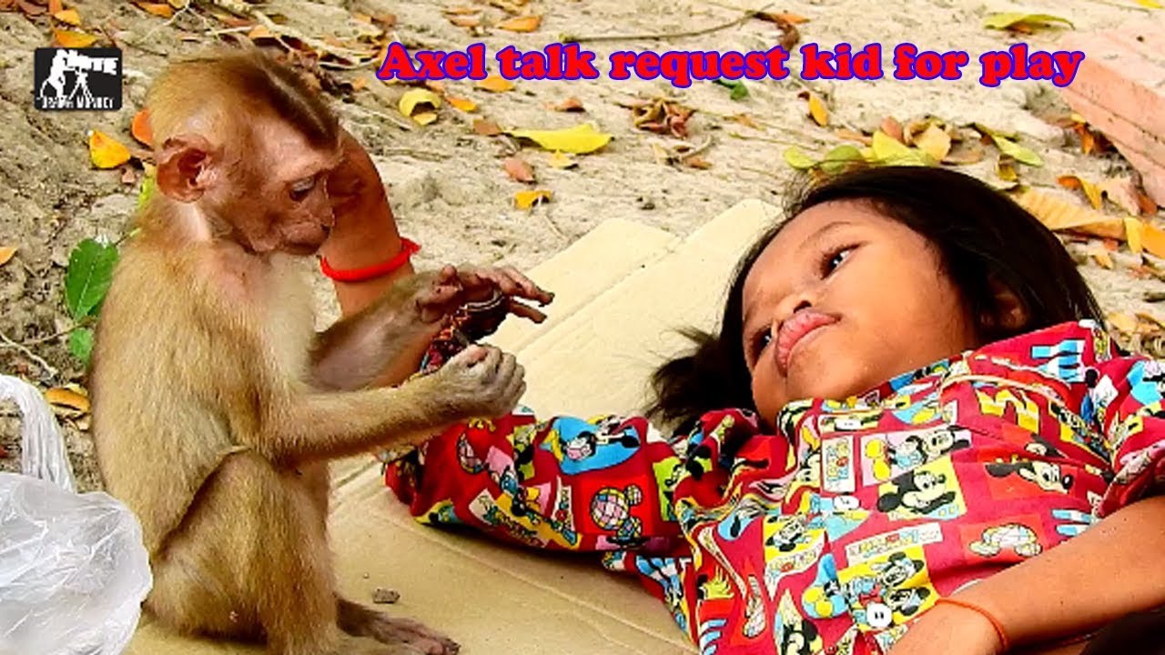 D14-P3 Strong relationship Cute baby Axel & Kid human,Axel so happy when meet cute girl