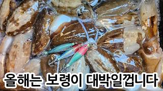 로기랜드 대표 영상 썸네일