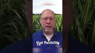 Flexibility Helps Strengthen Weed Management Programs