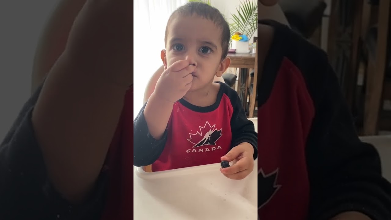 Cute Baby Eating Blueberries For The First Time 