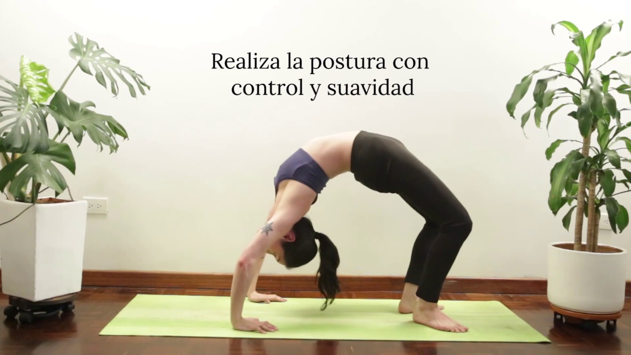 Ejercicios para hacer la postura de la rueda o arco ascendente (Urdvha ...