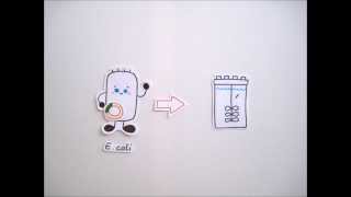 GFP - Short Animation Movie