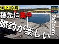 【海上釣堀】いつもより穂先アタリを拡大表示！やっぱり脈釣も楽しい 即掛SPとアルティメイトスペックの穂先に集中