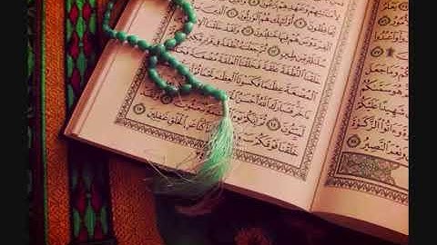 سورة الزخرف - وديع اليمني
