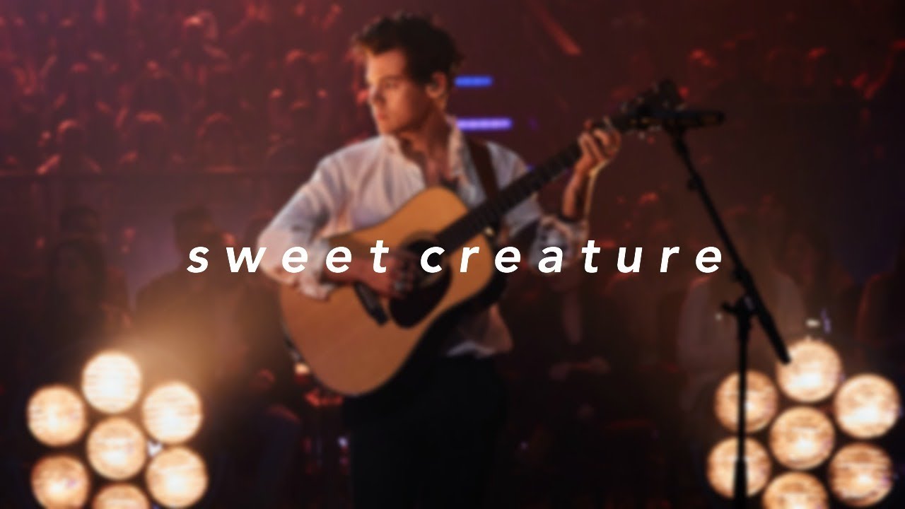 HARRY STYLES - SWEET CREATURE (empty arena + rain + lyrics)