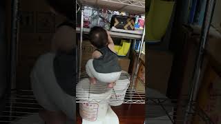2026.08.16 小寶 搗蛋