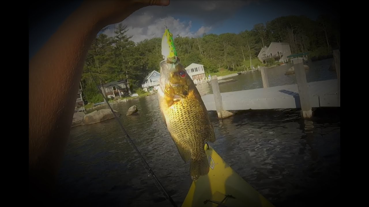 Fishing From a Kayak--They All Tried to Stay With Me