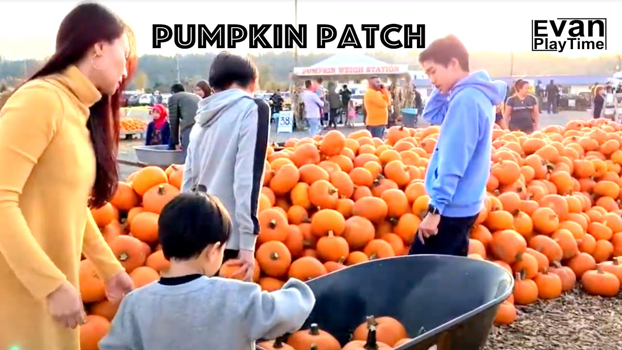 Pumpkin Patch Auburn 2019 with families YouTube