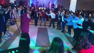 🔵 GRUP SIRDAŞLAR -  AY ŞOKE MUŞ HALAYI 2018 🔵