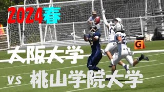 2024アメフト 大阪大学 vs 桃山学院大学 2024年5月25日 MK Taxi Field EXPO