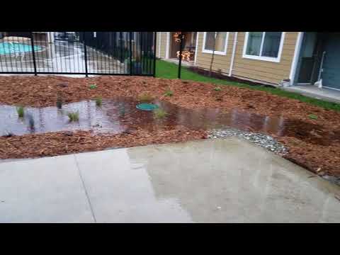 Quilceda Creek Rain