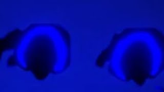 Hmm... Good Question How About I Leave You With This Guy Instead?