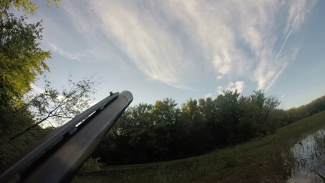 Duck hunting the Mississippi river YouTube