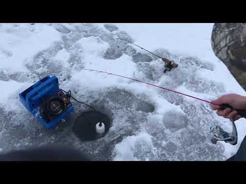 Slamming fish first