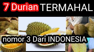 7 Jenis Durian Termahal Di Dunia, nomor 3 Ada yang dari Indonesia loh