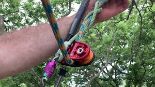 Hitch Climber Eccentric