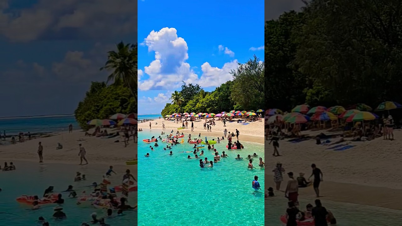 The Mystery is Out! | Mystery Island, Vanuatu🇻🇺 #travelvlog #mysteryisland #trendingshorts