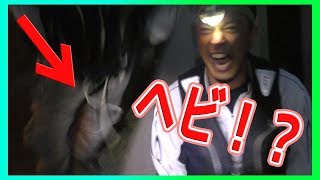 葉っぱはお尻拭きにもなる！金さんと行くサバイバル  #5 【ヤンバルキャンプ】