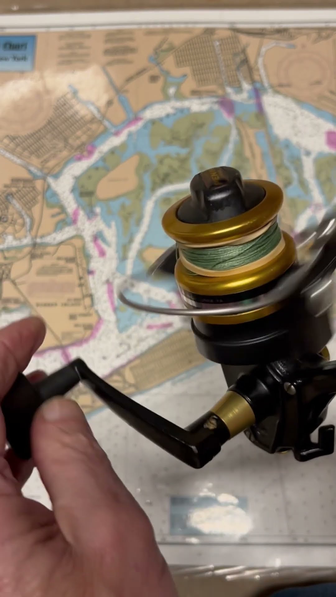 Penn Spinfisher 4400SS spin fishing reel of the day #fish - YouTube