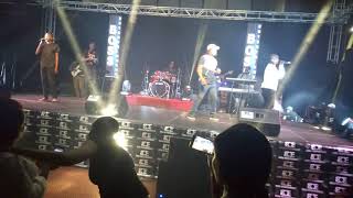 Live Zed Music