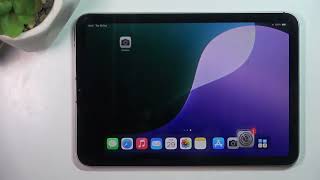 iPad Mini 2024: Locate Your Device's Wi-Fi MAC Address screenshot 4