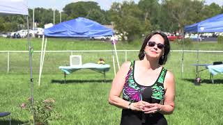 Hospice Remembrance Ceremony - Let It Be