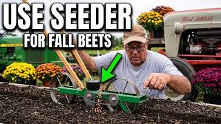 2 Tractors, 1 Garden: The ONLY Way to Plant Fall Beets Fast
