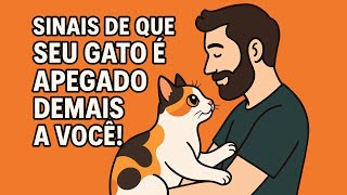 10 Sinais de que seu gato não aguenta ficar sem você 🐾