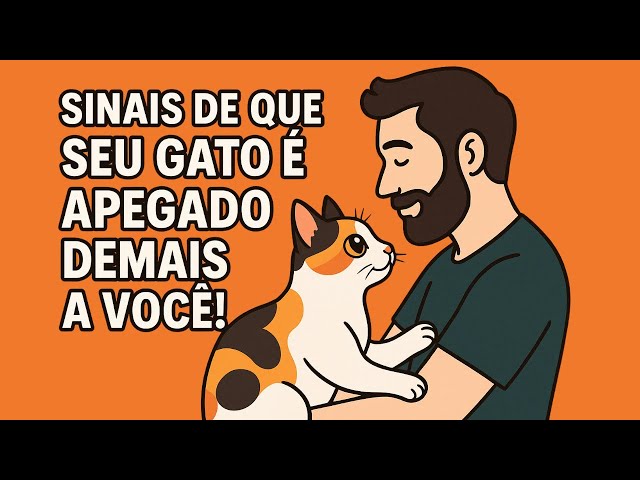 10 Sinais de que seu gato não aguenta ficar sem você 🐾
