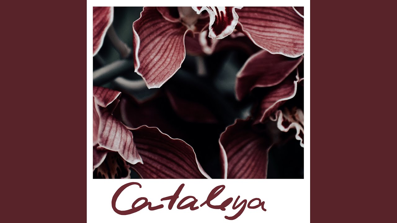 Watch Cataleya on YouTube Watch Cataleya on YouTube