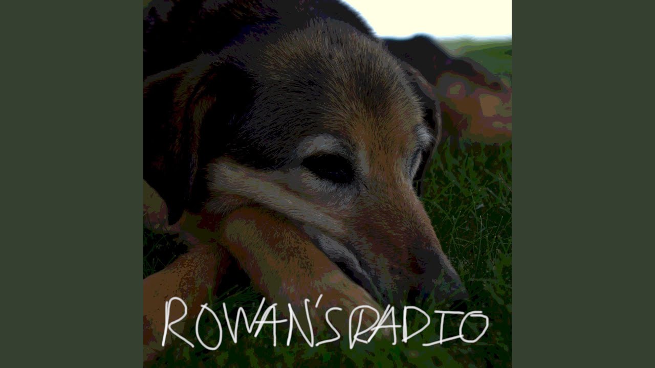 Rowan's Dog