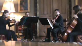 The KI String Quartet ref:6488 Video 9