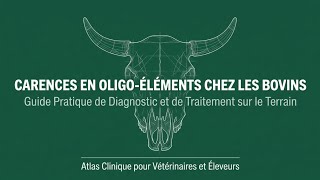 Ces carences minérales peuvent provoquer des maladies graves chez les bovins