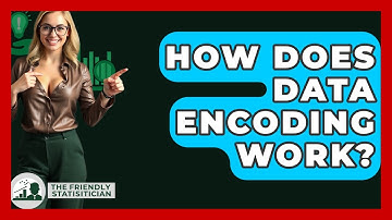 How Does Data Encoding Work? - The Friendly Statistician