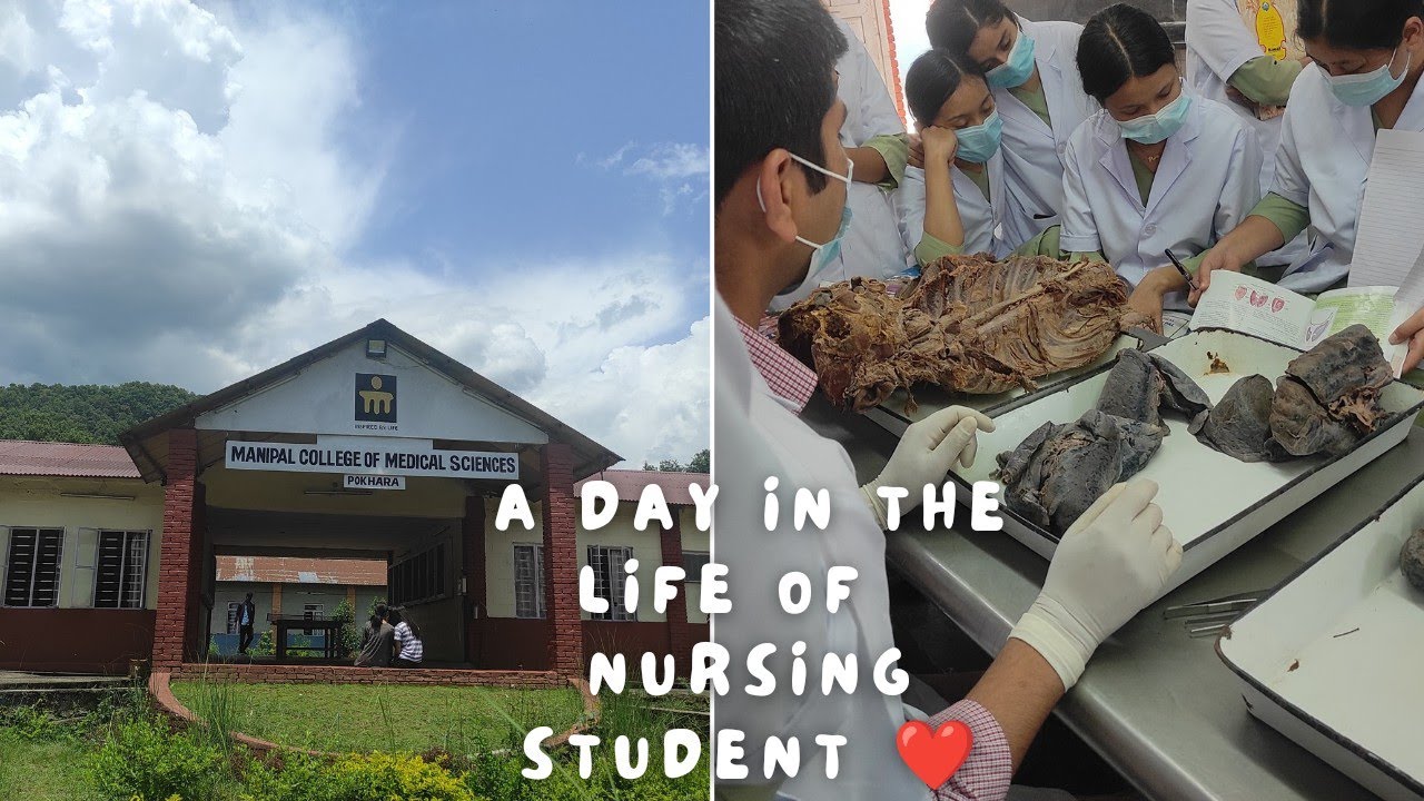 A DAY IN THE LIFE OF NURSING STUDENT I REETU VLOG'S l - YouTube