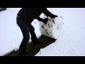 Snow shoveling West Virginia style. Life hack!