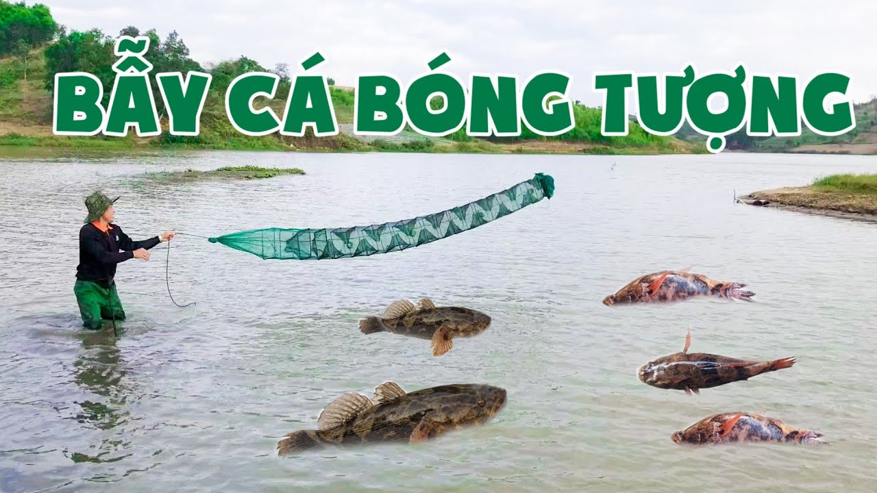 Một Ngày Theo Chân Anh Bạn Chuyên Bẫy Cá Bóng Tượng (BUDDY FISH Trap) | Miền Đất Hứa Vlogs