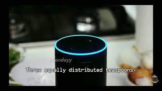 Communist Amazon echo