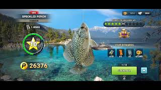 SILVER EVERYWHERE• I CAUGHT 13 STAR NEW COMMON FISH 🐠 l FISHING CLASH GAMEPLAY 🌊💧☀️🏖️