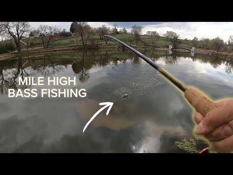Bass Fishing a Hidden Pond – Insane Action!
