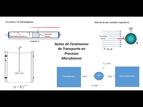 Fenómenos de Transporte en Procesos Microbianos. EGELPLUS IQUIM.#unam