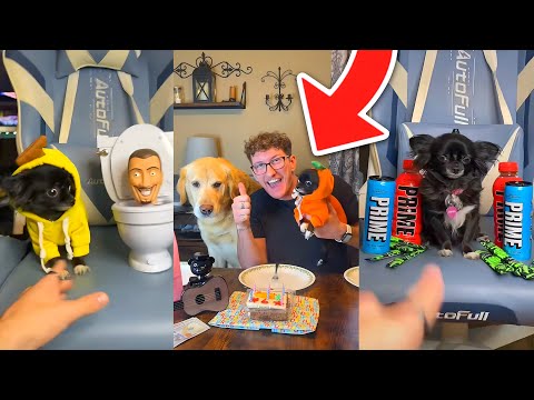 JOSH PUDDIN AND DOZER 8 MINUTES COMPILATION!!