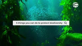 5 things you can do to protect biodiversity